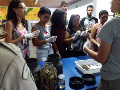 Zoobotanica na  Escola Estadual Professor Honório Rodrigues Amorim